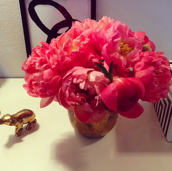 Coral Peonies via La Dolce Vita | Paloma Contreras Instagram
