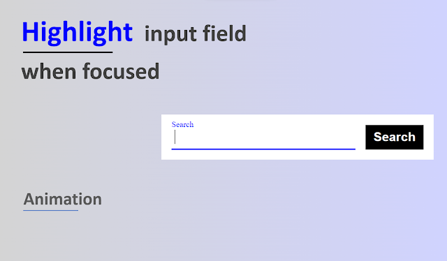 input field animation