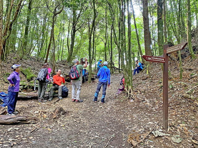 往北坑山--三叉路登山口