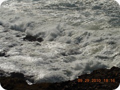 DSCN1923