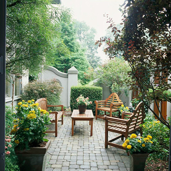 Landscaping Ideas for Privacy | Photography Buzz