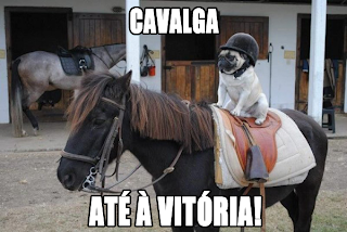 cão motivacional