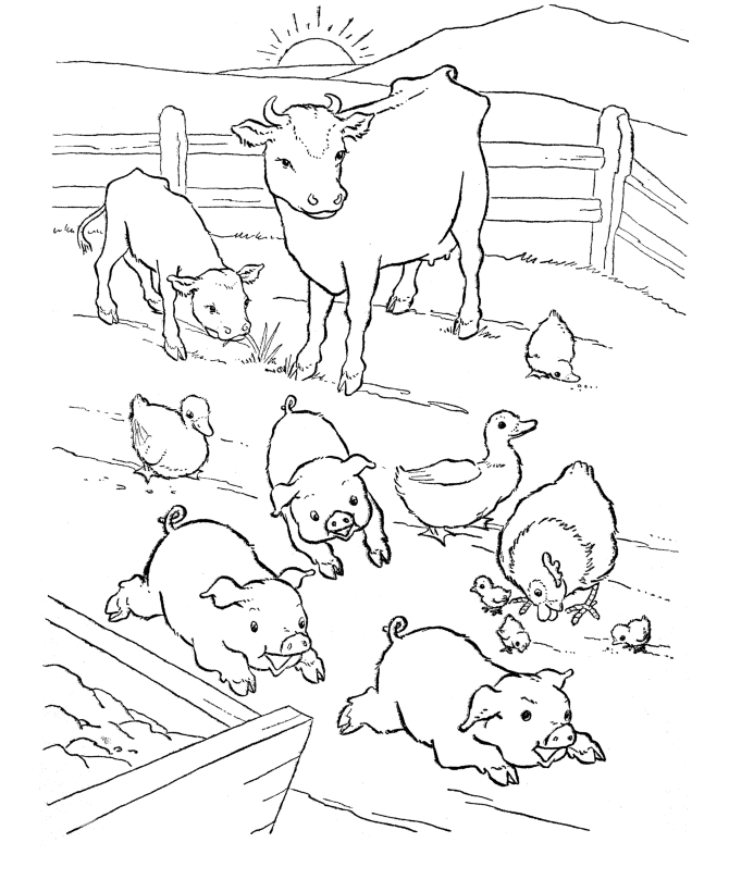 Farm Animal Coloring Pages