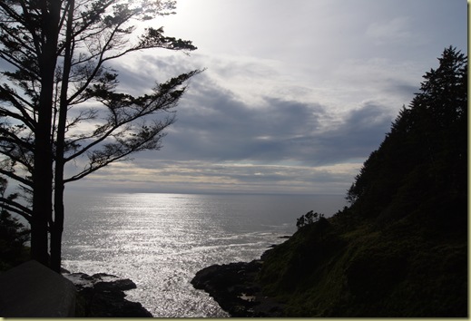 DSC02311