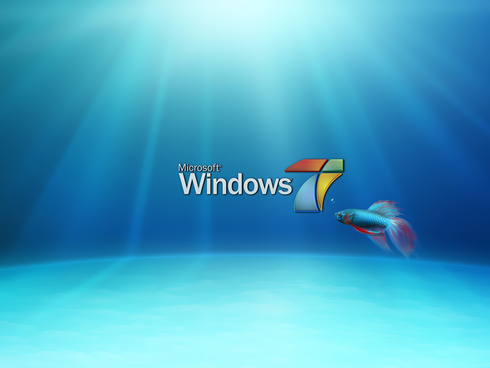 windows home server wallpaper