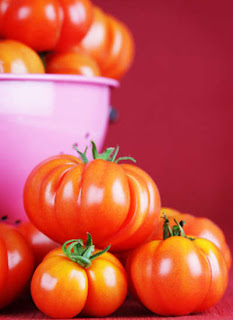  Tomat ini sering sekali diolah menjadi bermacam-macam jenis kuliner Pintar Pelajaran Jenis Tomat untuk Masakan