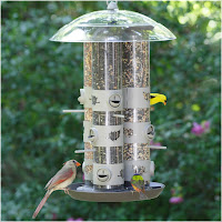 Bird Feeding Station Ideas