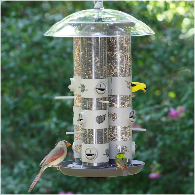 Bird Feeding Station Ideas