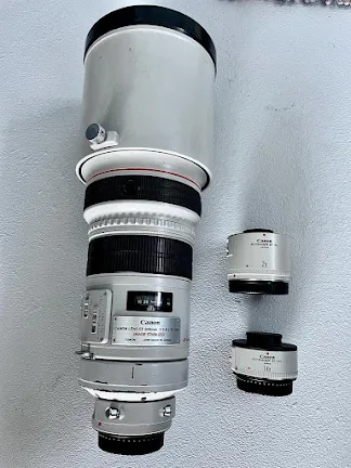 Canon EF 300 f/2.8L IS USM lens and tele-converters