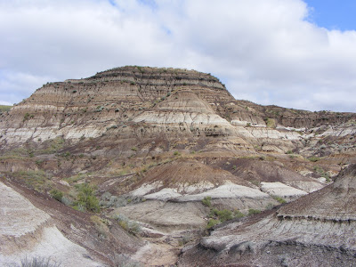 Dinosaur Provincial Park AB.