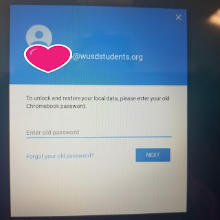 Chromebook error screenshot: Log in with your old password