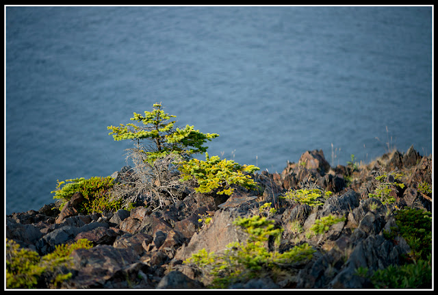 Nova Scotia; The Ovens