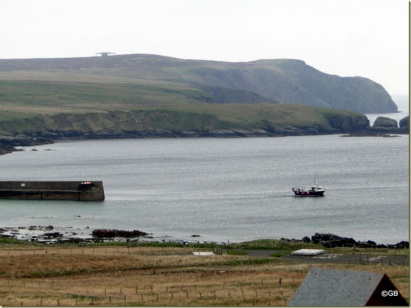DSC08627