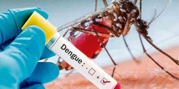 Dengue fever | ഡെങ്കിപ്പനിയ്ക്കെതിരെ ജനകീയ പ്രതിരോധം ഉണ്ടാകണമെന്ന് മന്ത്രി വീണാ ജോര്‍ജ്; സംസ്ഥാന വ്യാപകമായി കര്‍മപരിപാടി സംഘടിപ്പിക്കും