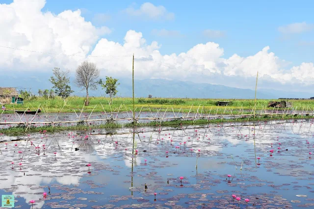 Mine Thauk Village, lago Inle