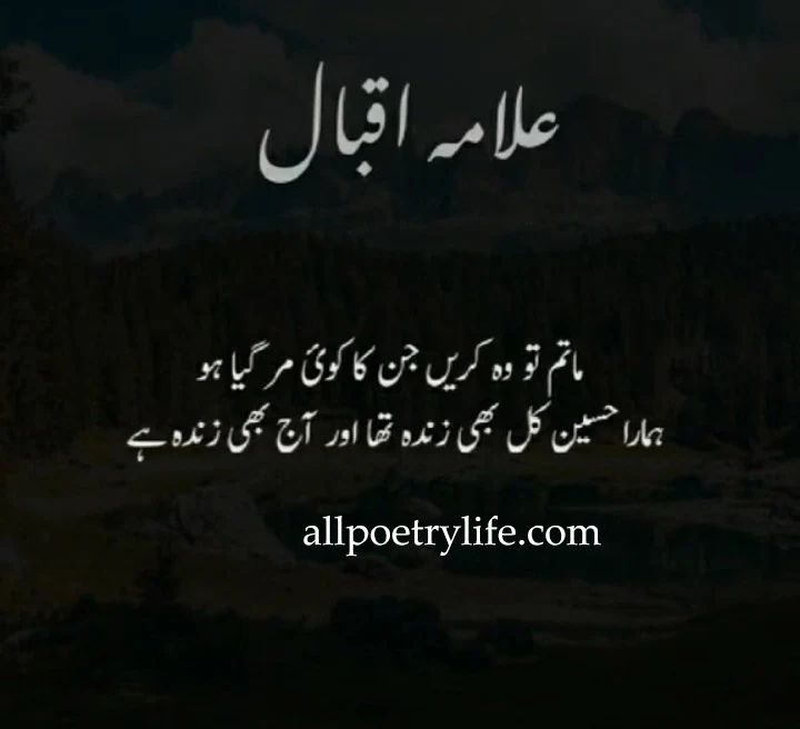 Allama Iqbal sad poetry in Urdu images, Allama Iqbal famous Shayari in Urdu, allama iqbal poetry, Allama Iqbal poetry in Urdu for students, Allama Iqbal quotes in Urdu, Allama Iqbal Urdu poetry, allama iqbal shayari, Allama Iqbal most famous poetry in Urdu, Famous quotes of Allama Iqbal,  Allama Iqbal famous Tiktok poetry in Urdu, Allama iqbal Tiktok Shayari, allama iqbal ghazal, allama iqbal love poetry, allama iqbal ghazal in urdu, iqbal motivational poetry, iqbal sher, allama iqbal motivational poetry, allama iqbal nazam in urdu, iqbal best poetry in urdu, allama iqbal sher in urdu, iqbal poetry on khudi, Allama iqbal poetry in urdu love, Poetry of iqbal in urdu. Allama iqbal quotes,  allama iqbal poetry in hindi, allama iqbal ki shayari in urdu, allama iqbal poetry in urdu for youth, iqbal poetry in english, allama iqbal famous poetry in urdu, iqbal day quotes, allama iqbal best poetry, iqbal shayari in urdu, allama iqbal shayari in hindi, iqbal ki shayari, shikwa jawab e shikwa pdf, allama iqbal ke sher, allama iqbal quotes in urdu, allama iqbal poetry in english, iqbal quotes, allama iqbal in urdu, iqbal poetry, allama iqbal persian poetry, iqbal sad poetry, allama iqbal shayari on namaz, shikwa poetry urdu, allama iqbal poetry in urdu sms, iqbal love poetry, allama iqbal farsi poetry, allama iqbal quotes on love, best quotes of iqbal in english, best quotes allama iqbal urdu, iqbal quotes about life, iqbal quotes on love, urdu quotes by allama iqbal, allama iqbal quotes on life urdu, shayari by iqbal in urdu, sad shayari of iqbal in urdu, best quotes allama iqbal urdu, all Poetry Life, Noman Ali,