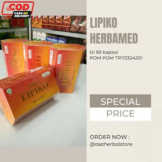 Lipiko Herbamed Obat Herbal Kesehatan Liver