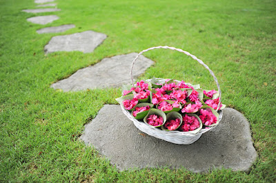 hot pink bougainvilleas inside banana cones