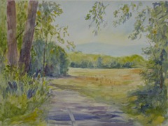 Meadow-along-Hays-Greenway