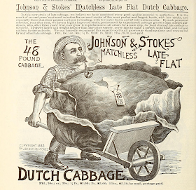 Stumpy, pipe smoking, wheelbarrow pushing man with giant cabbage.  Johnson and Stokes