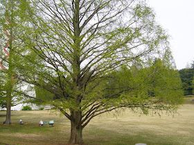 万博公園