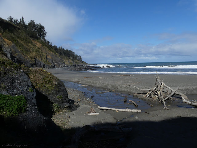 08: beach crossed by a stream