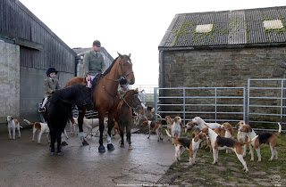 Rockwood Harriers