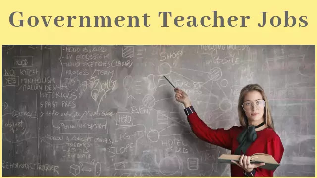 Government Teacher Job