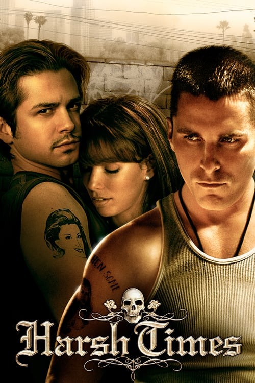 Ver Vidas al límite 2005 Online Audio Latino
