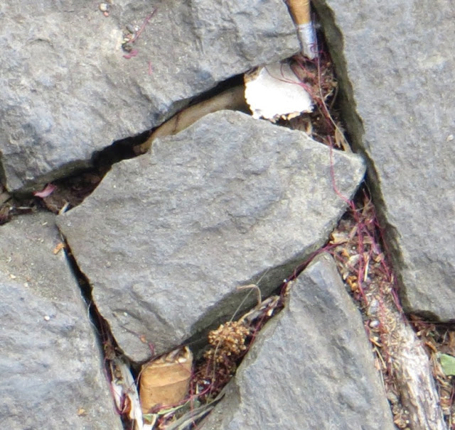 Ampliação de Fotografia macro Calçada Portuguesa Ladrilho de Passeio de Pedra com pormenor de beata de cigarro entre as pedras