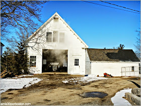 Maple Sugar Season en Massachusetts: Sugar House de Hollis Hills Farm