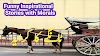  Funny Inspirational Stories with Morals | Funny Bedtime Stories for Adults | High Rate of Tonga Fare