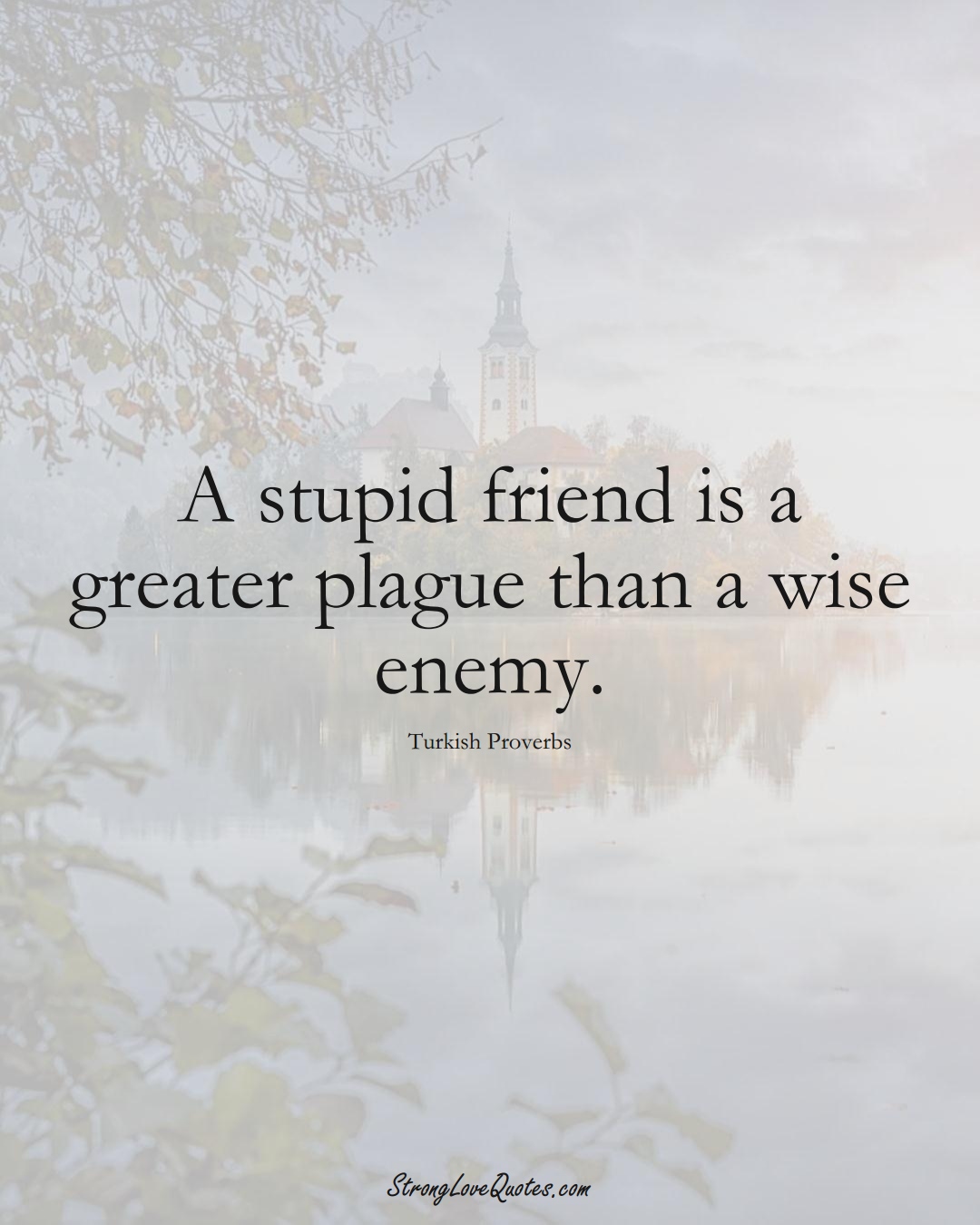 A stupid friend is a greater plague than a wise enemy. (Turkish Sayings);  #MiddleEasternSayings