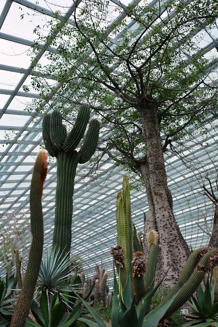 Flower Dome Singapore