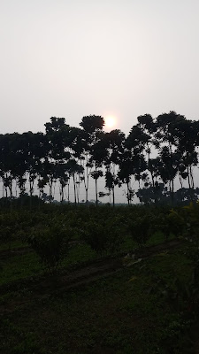 Gokulpur Gram, Kataganj, Nadia, West Bengal, INDIA