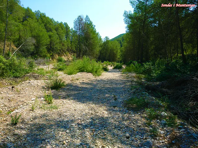 Ludiente, río Villahermosa, Rambla santa Ana, pozo negro