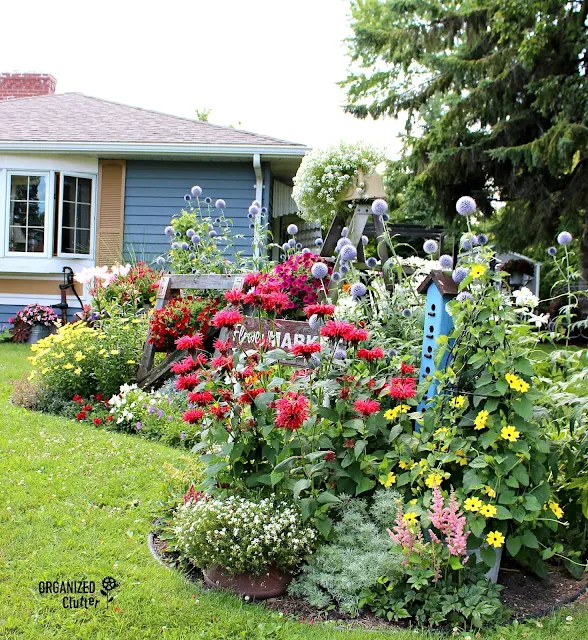 2017 Junk Garden Before & After Photos organizedclutter.net