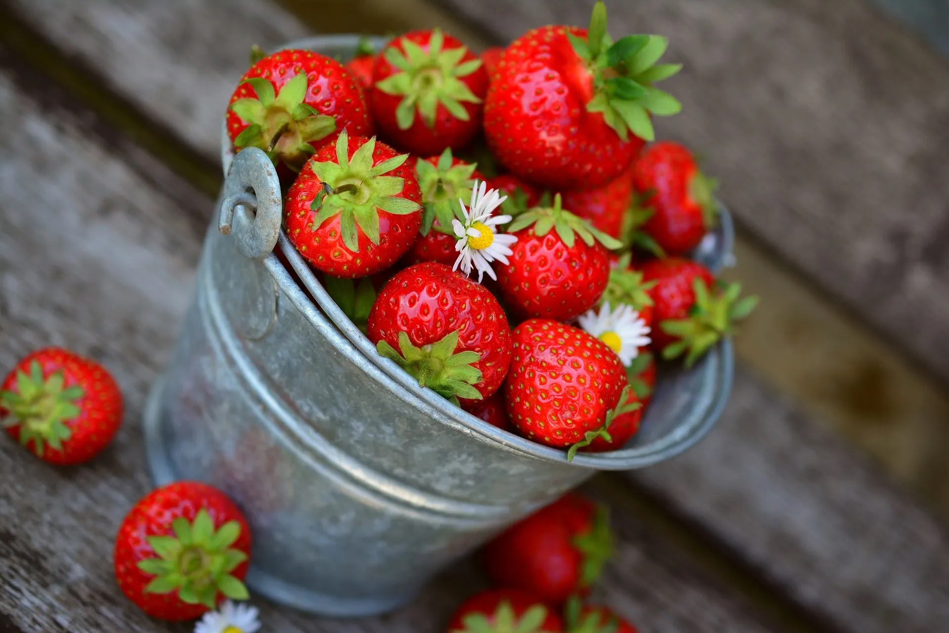 Strawberry: Buah Kecil Penuh Manfaat untuk Kesehatan Anda [ One Pedia - OnePedia.Web.Id ]