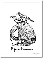 pájaro hornero 1