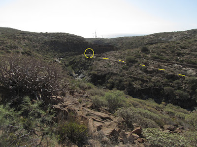 Mar a Cumbre - Barranco del Tajo - PR-TF-86 - Tenerife - Islas Canarias