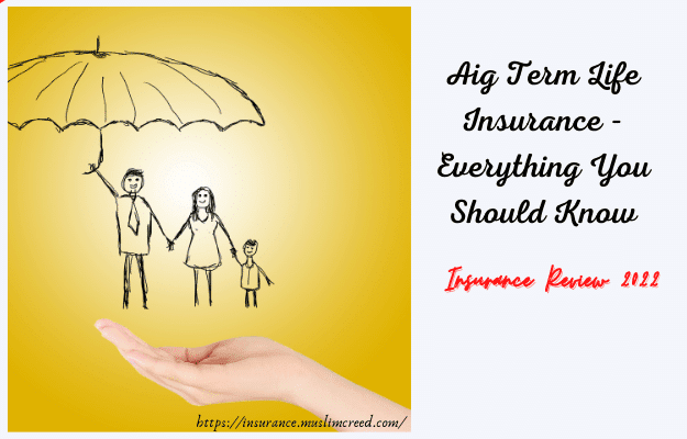 Aig Term Life Insurance - Everything You Should Know