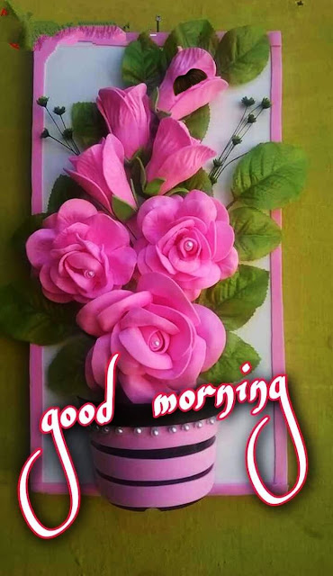 Good Morning Images With Flowers