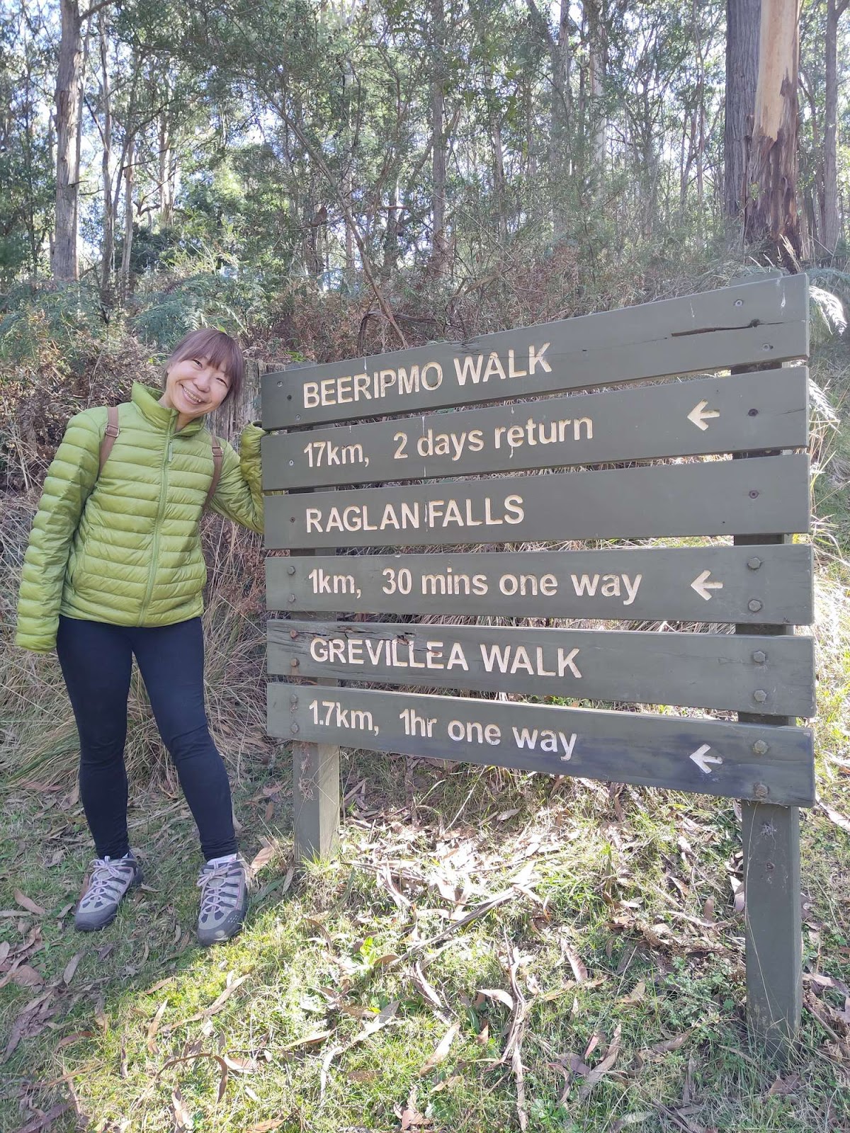 Raglan Falls Walk