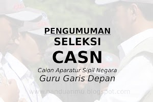 PENGUMUMAN KELULUSAN ASN