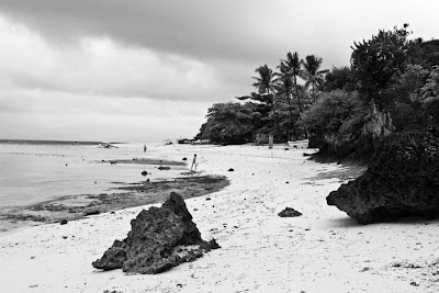 Black and White Beach Photography