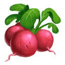 crop general radish generic icon 90a3023c4fbadc78c3b6455c4fce04ab Check out the New Recipes Coming with the Birdhouse!
