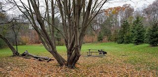 Bring your lunch and enjoy nature in Moccasin Park in Don Mills