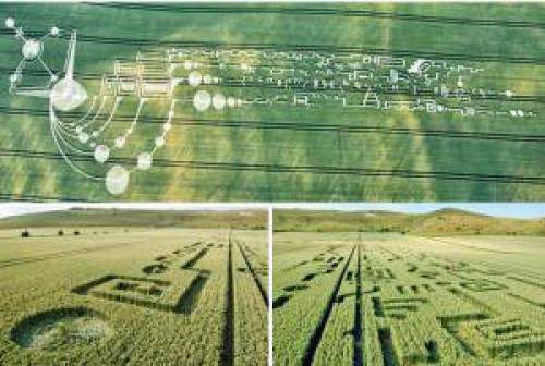 Los Mejores Crop Circles De La Historia Iii Jeroglficos De Medio Kilmetro