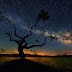 The Milky Way Galaxy above trees in Salamanca