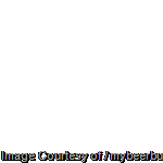 clip_image003[271]